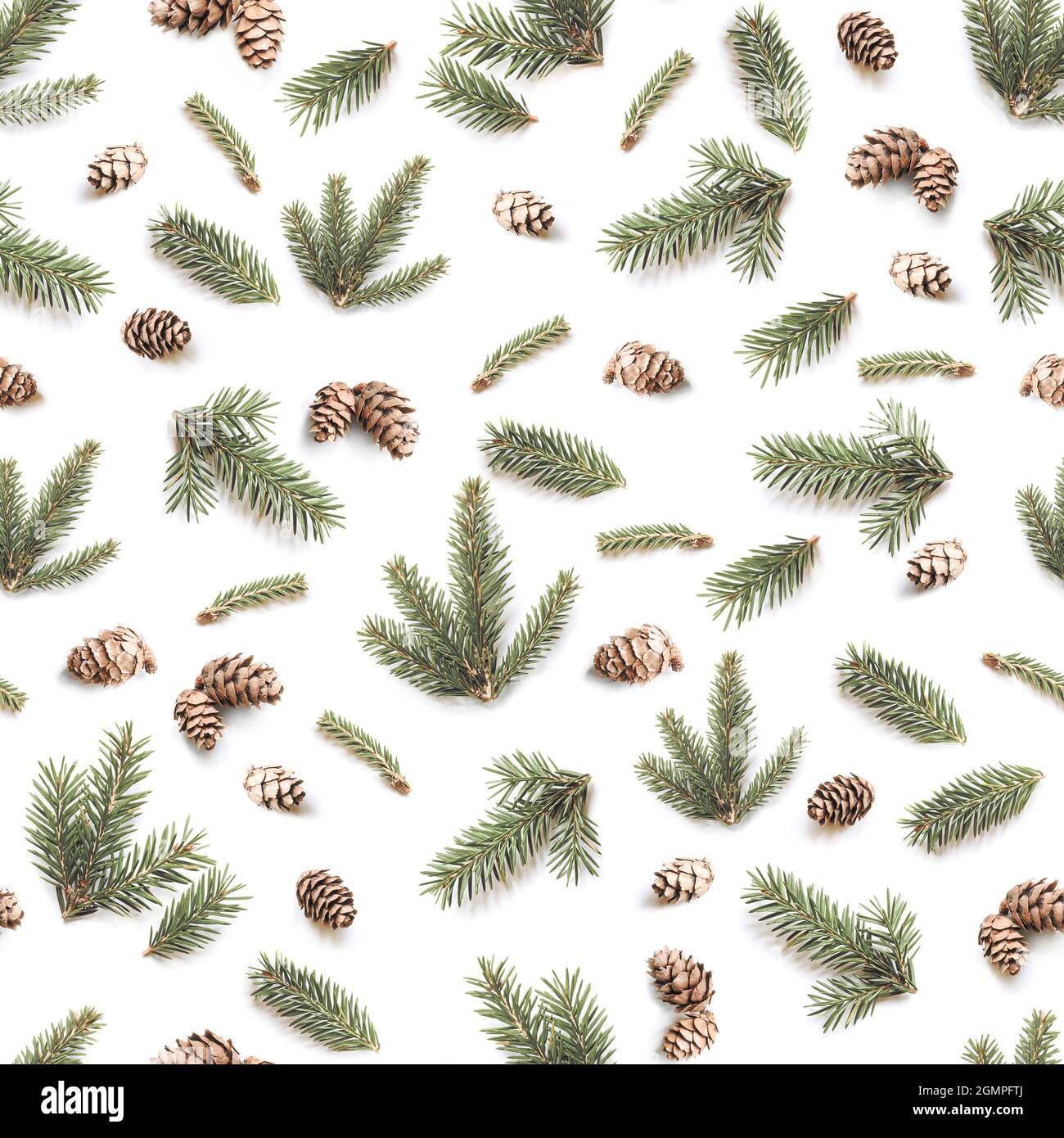 Christmas seamless pattern of Fir branches and pine cones. Winter ...