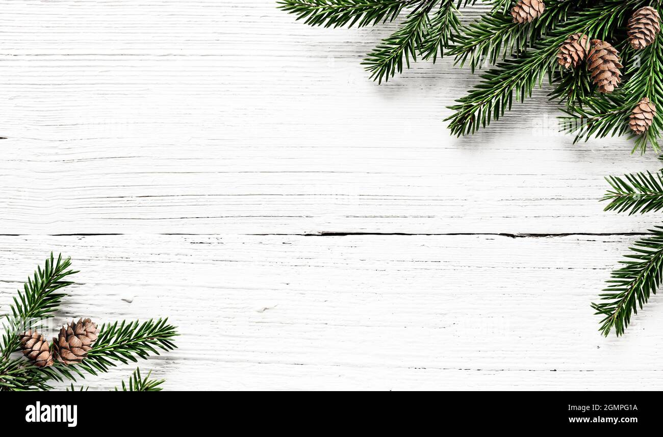 Christmas tree branches and pine cones Stock Photo Alamy