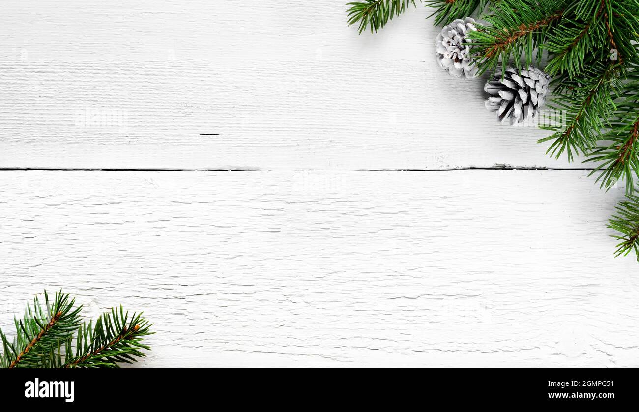 Christmas Fir tree branches and white pine cones background Stock Photo ...