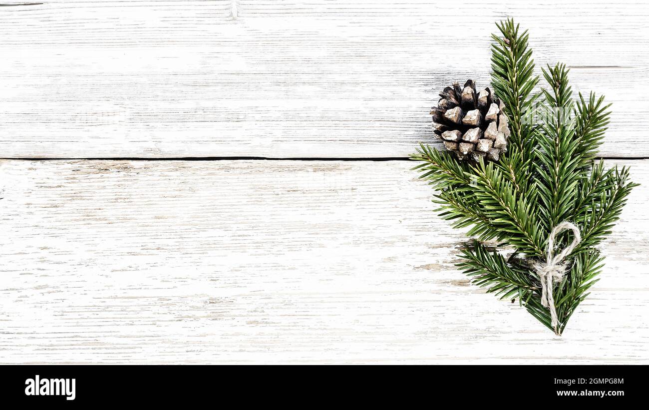Christmas tree branch and pine cone Stock Photo - Alamy