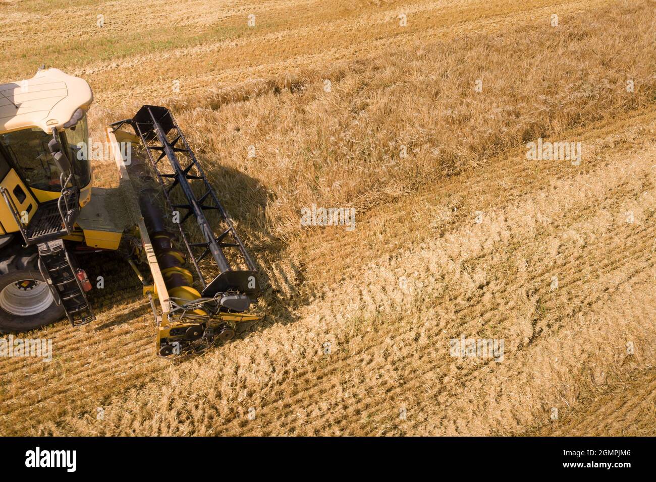 Aerial view of combine harvester harvesting large ripe wheat field ...
