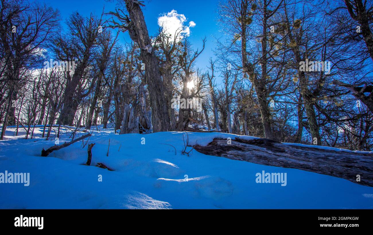 Paisajes de campo hi-res stock photography and images - Alamy