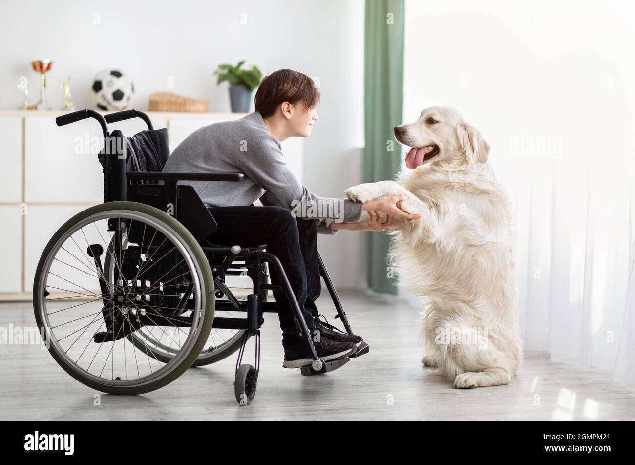 Disabled teenage boy in wheelchair playing with his dog at home. Animal human friendship concept Stock Photo