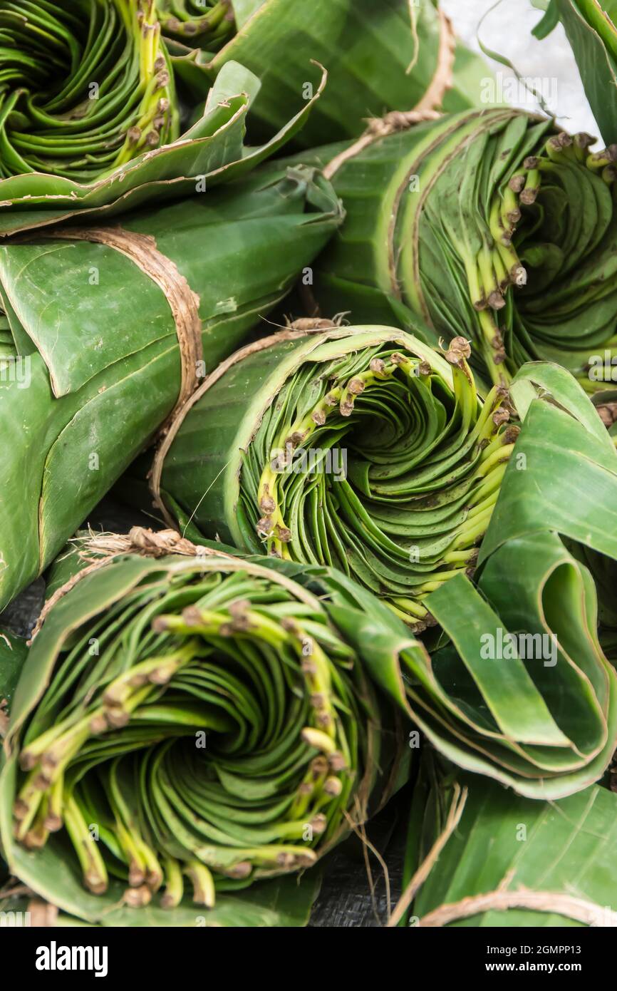 Close up of bundles of betel leaves on sale on the local market in Oinlasi vilage, West Timor, Indonesia Stock Photo