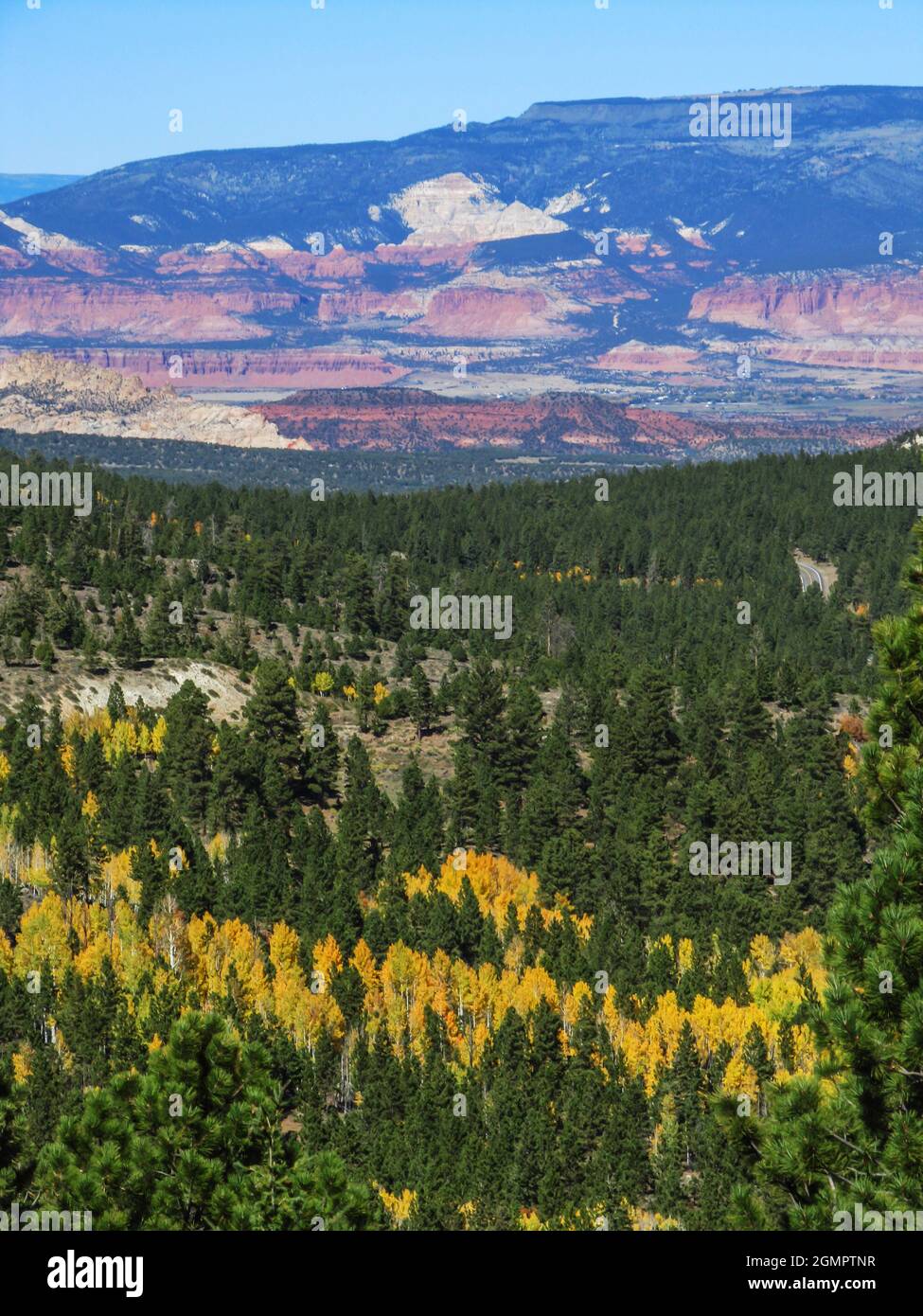 View over the mountains and cliffs of the Aquarius Plateau with aspen, fir and pine forest in the foreground Stock Photo