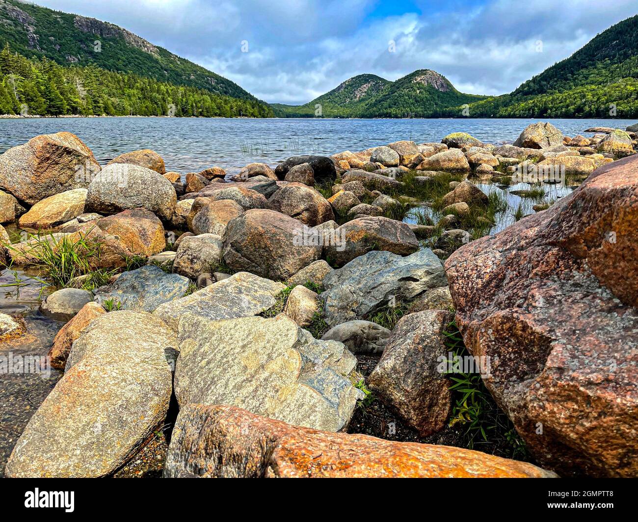 Treasures of Maine Stock Photo - Alamy