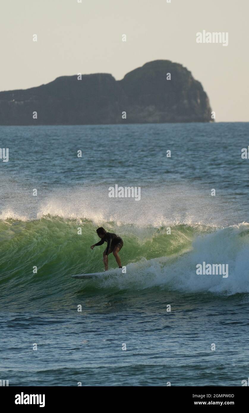Gower, Swansea, UK. 20th September, 2021. UK Weather: A beautiful sunny and warm evening with a slight onshore breeze at Llangennith beach on the Gower peninsula, Wales. A surfer catches a ride with the promontory  of 'Worms Head' looming in the background. Credit: Gareth Llewelyn/Alamy Live News Stock Photo