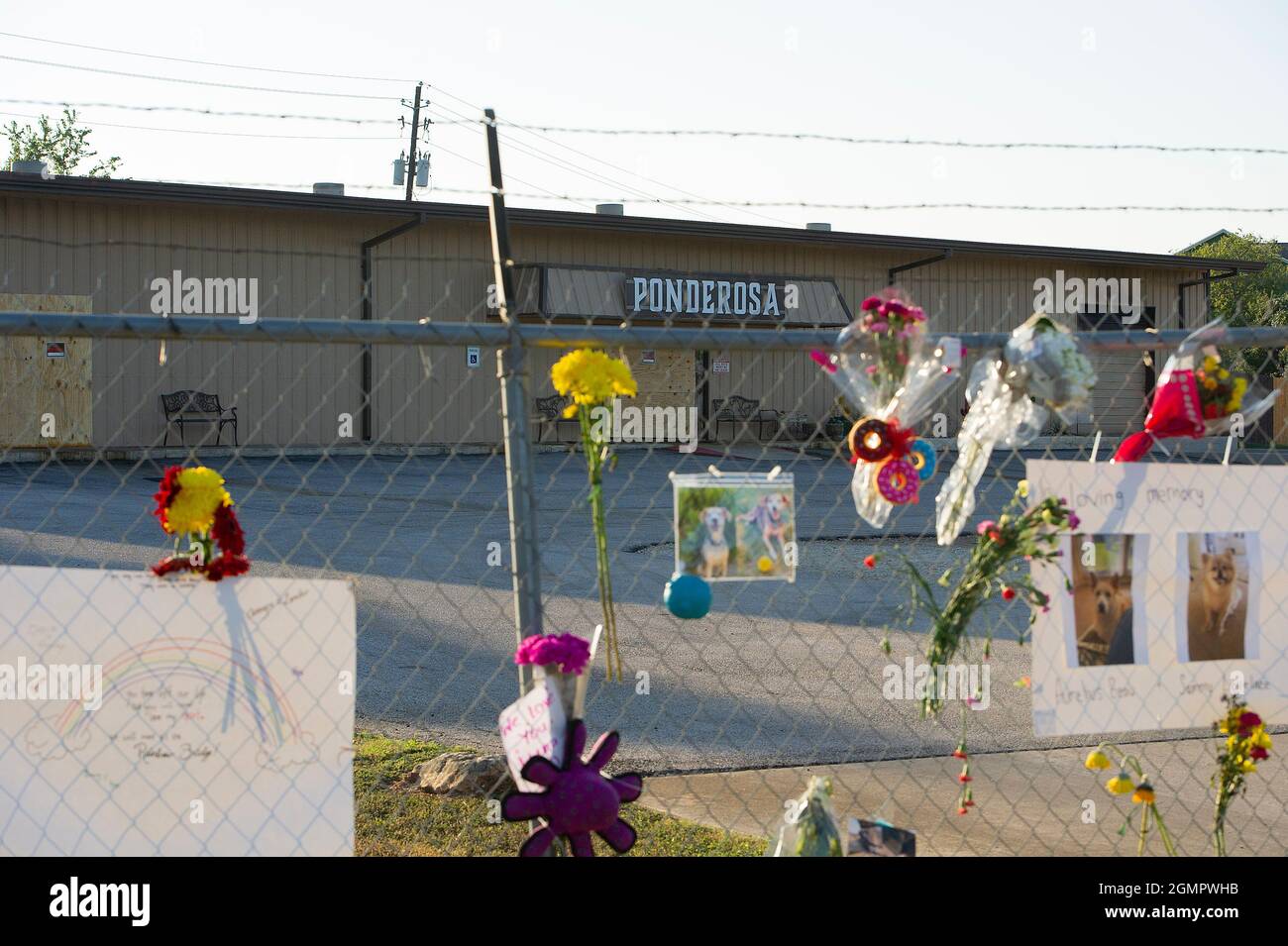 September 20, 2021: A Memorial grows after a fire engulfed Ponderosa Pet Resort Saturday evening resulted in the deaths of 75 dogs at the Resort. Georgetown, Texas. Mario Cantu/CSM Stock Photo