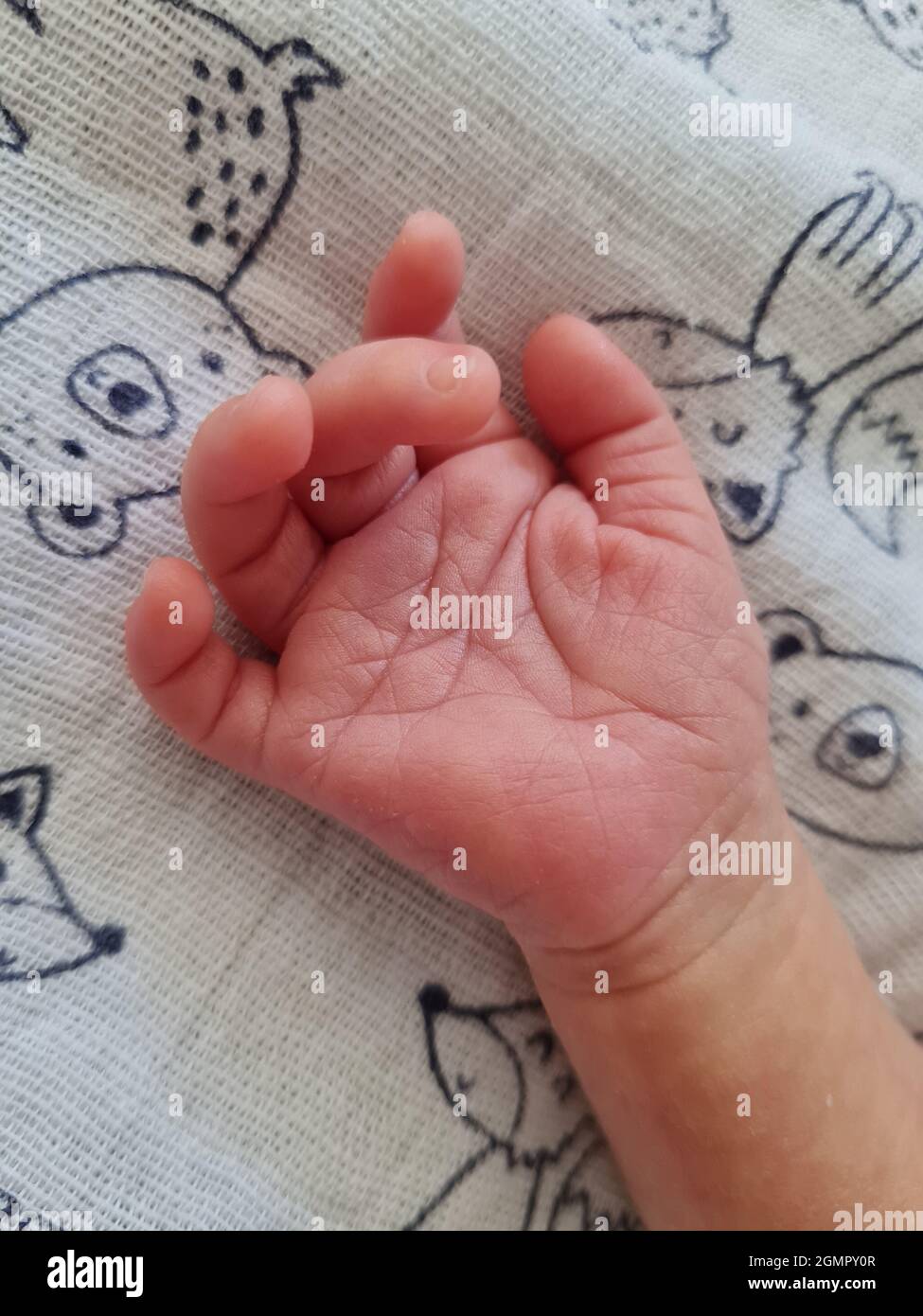 Cute newborn hand, close up. Small little baby girl hand. Little fingers. Hand over infant Stock Photo