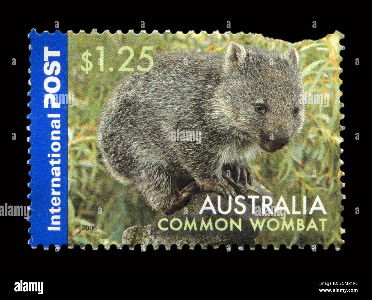 Stamp printed in Australia shows image of the Common Wombat, circa 2006