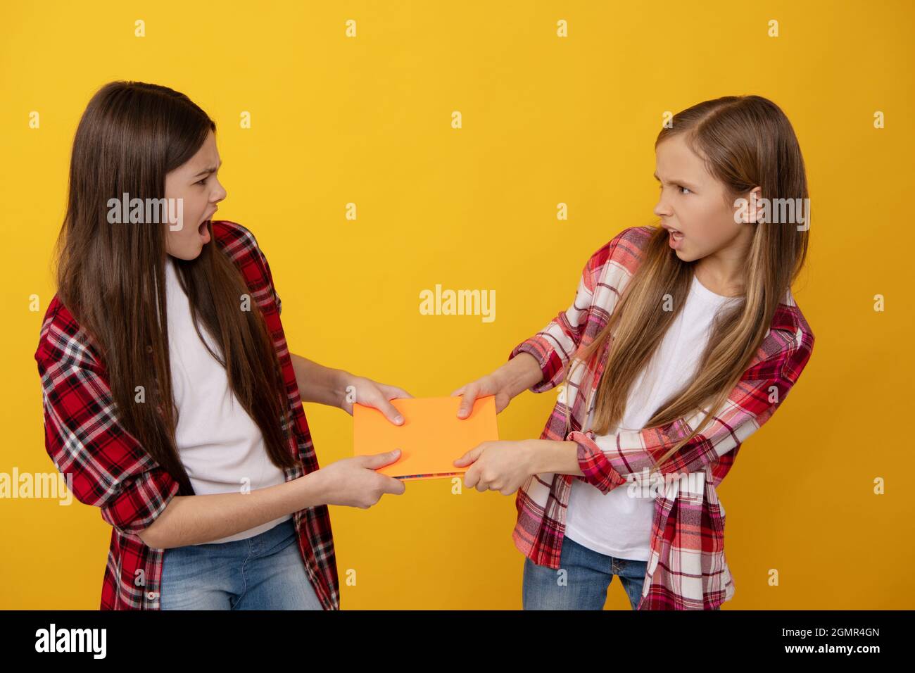 angry kids in casual checkered shirt fighting for with notebooks, anger Stock Photo