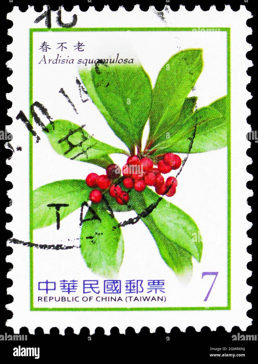 MOSCOW, RUSSIA - JULY 31, 2021: Postage stamp printed in Taiwan shows Ardisia squamulosa, Berries (2012-2014) serie, circa 2012 Stock Photo