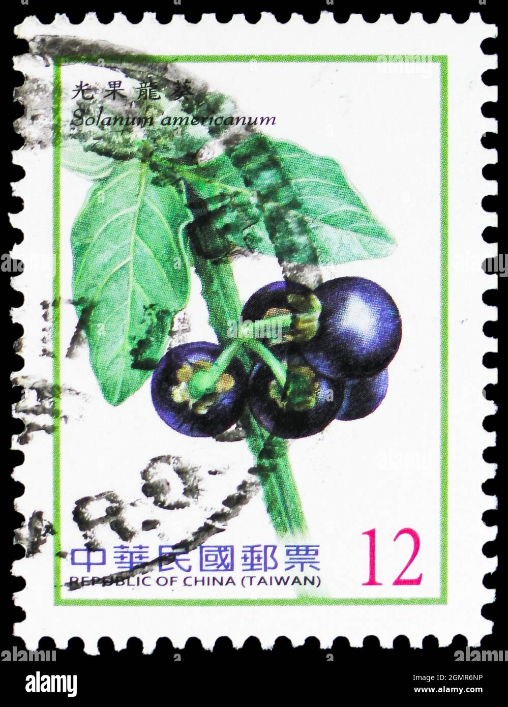MOSCOW, RUSSIA - JULY 31, 2021: Postage stamp printed in Taiwan shows Solanum americanum, Berries (2012-2014) serie, circa 2012 Stock Photo