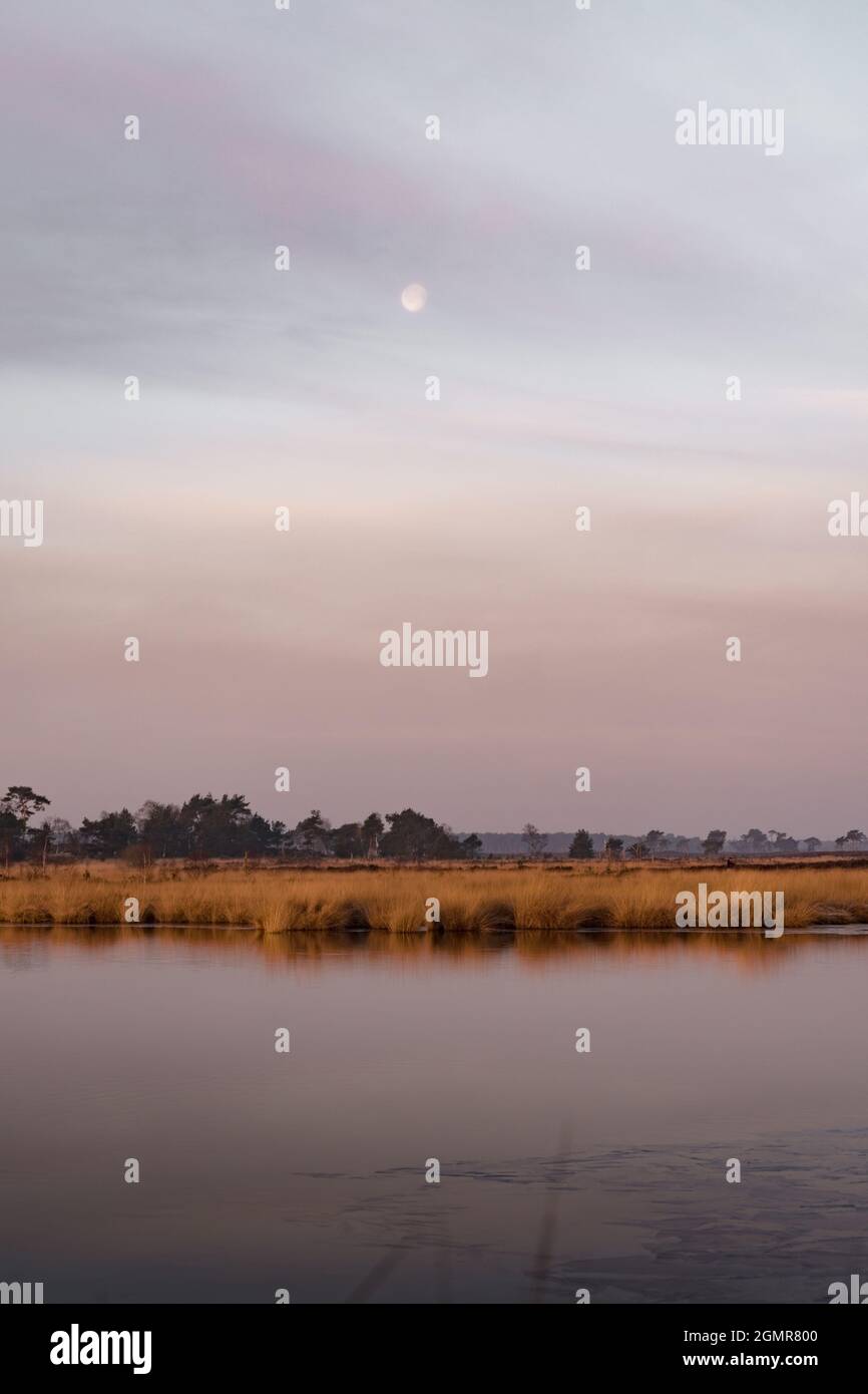 Vertical shot lake fields hi-res stock photography and images - Alamy