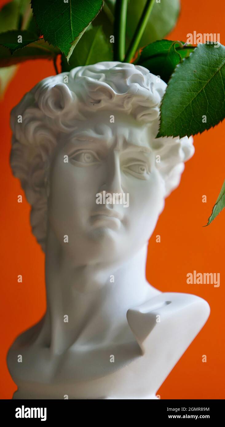 David michelangelo bust hires stock photography and images Alamy