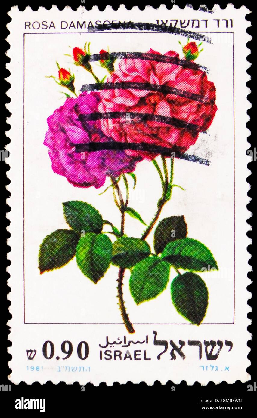 Israeli Roses MOSCOW, RUSSIA - JULY 31, 2021: Postage stamp printed in Israel shows ...