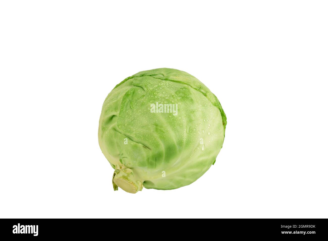 Cabbage isolated on white background with clipping path Stock Photo