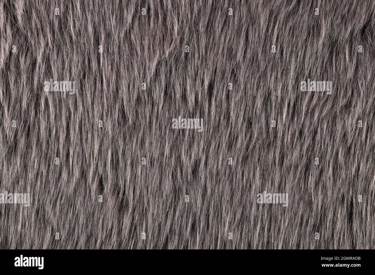 Grey Fur Texture Background Stock Photo
