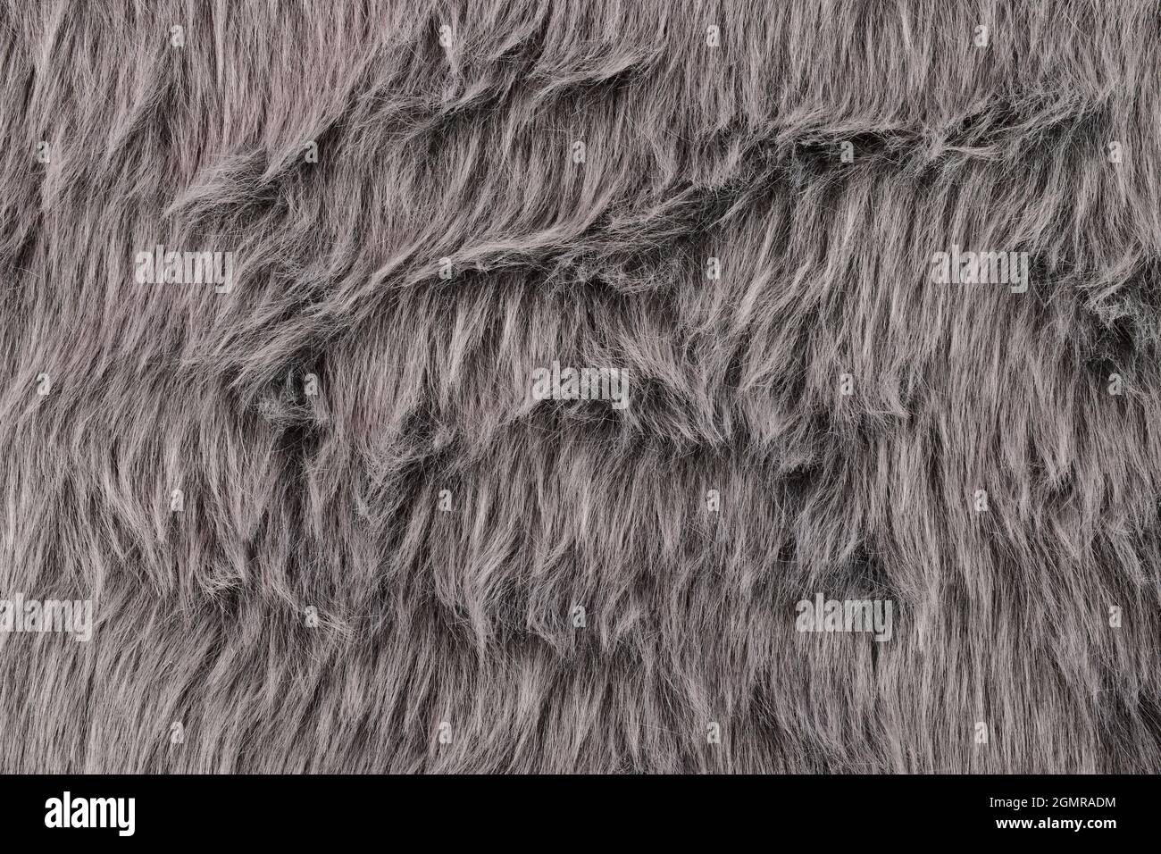 Grey Fur Texture Background Stock Photo