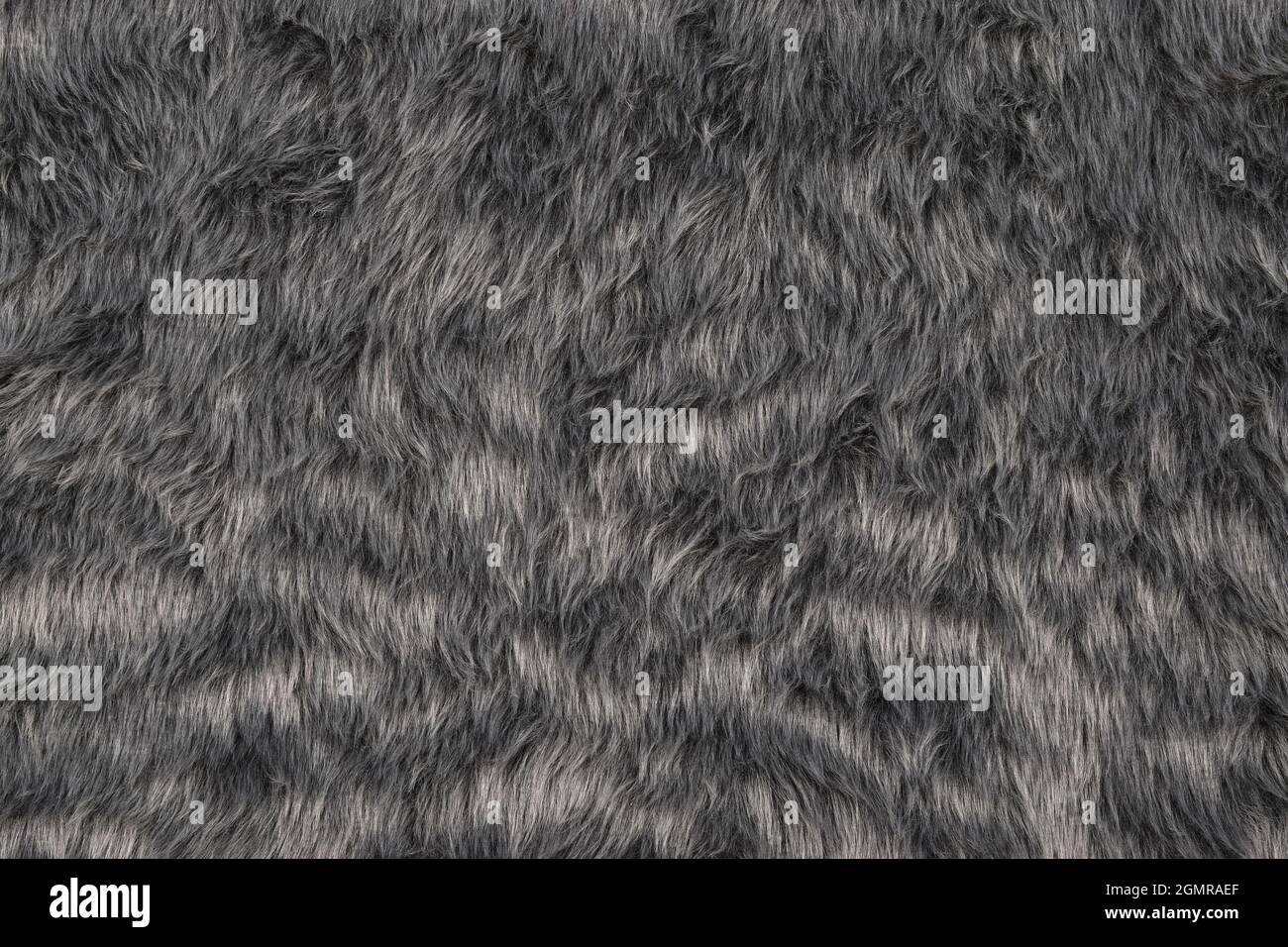 Top view of fur texture background, grey fur pattern texture Stock Photo