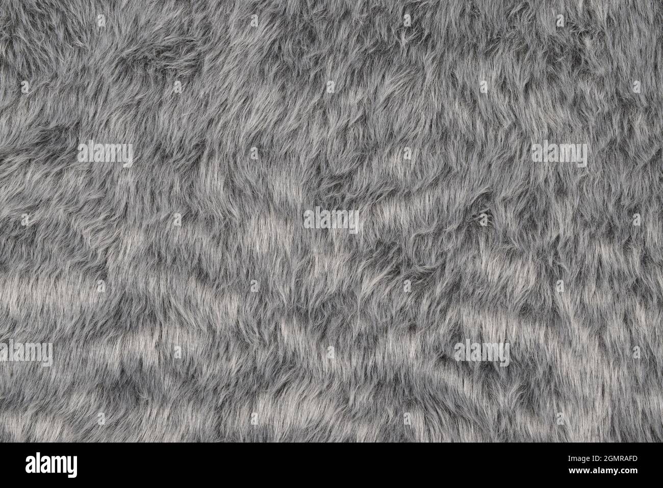 Gray fur texture background, top view of furry cloth pattern Stock Photo