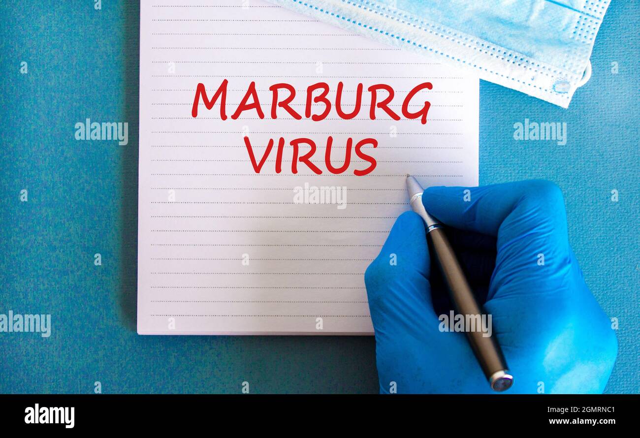 Marburg virus symbol. White note with words Marburg virus, beautiful blue background, doctor hand in blu glove and metallic pen. Medical mask. Medical Stock Photo