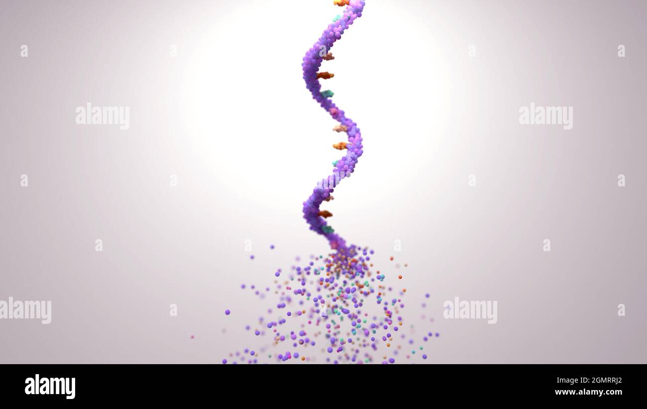 RNA disintegrating, conceptual illustration Stock Photo