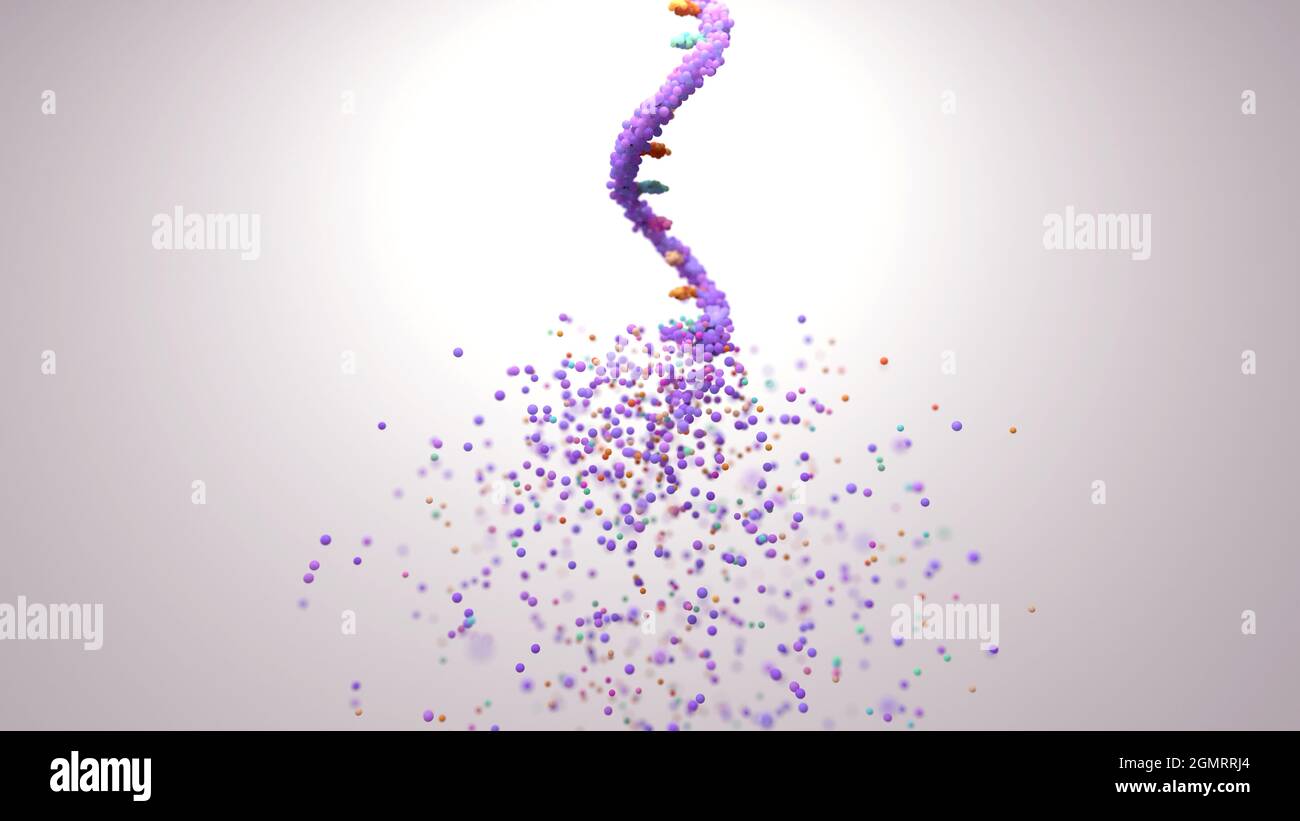 RNA molecule disintegrating, conceptual illustration Stock Photo