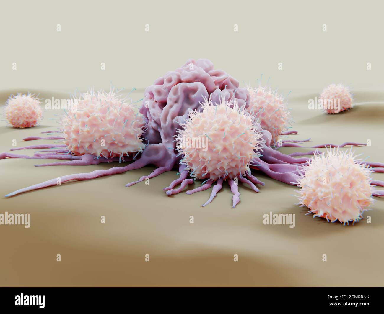 Natural killer cells attacking a cancer cell, illustration Stock Photo ...