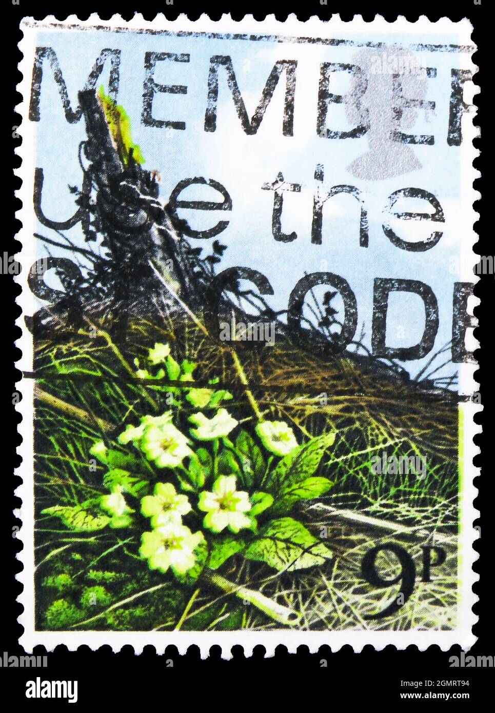 MOSCOW, RUSSIA - NOVEMBER 6, 2019: Postage stamp printed in United Kingdom shows Primrose (Primula vulgaris), Spring Wild Flowers serie, circa 1979 Stock Photo