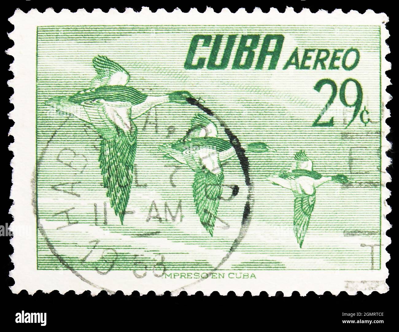 MOSCOW, RUSSIA - NOVEMBER 6, 2019: Postage stamp printed in Cuba shows North American Merganser (Mergus merganser americanus), Endemic birds serie, ci Stock Photo