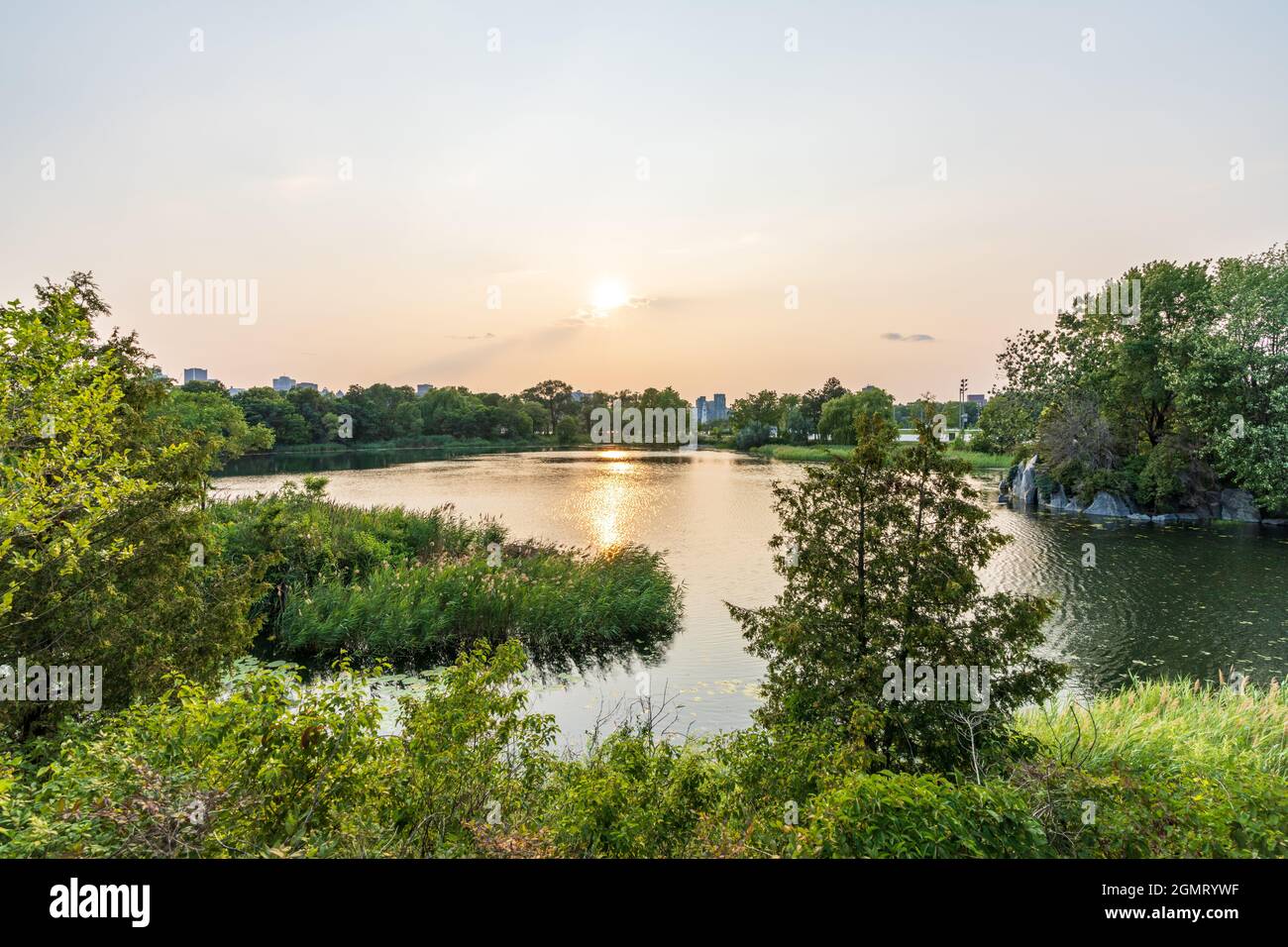 Swan Lake, JeanDrapeau park in summer evening. Saint Helens Island