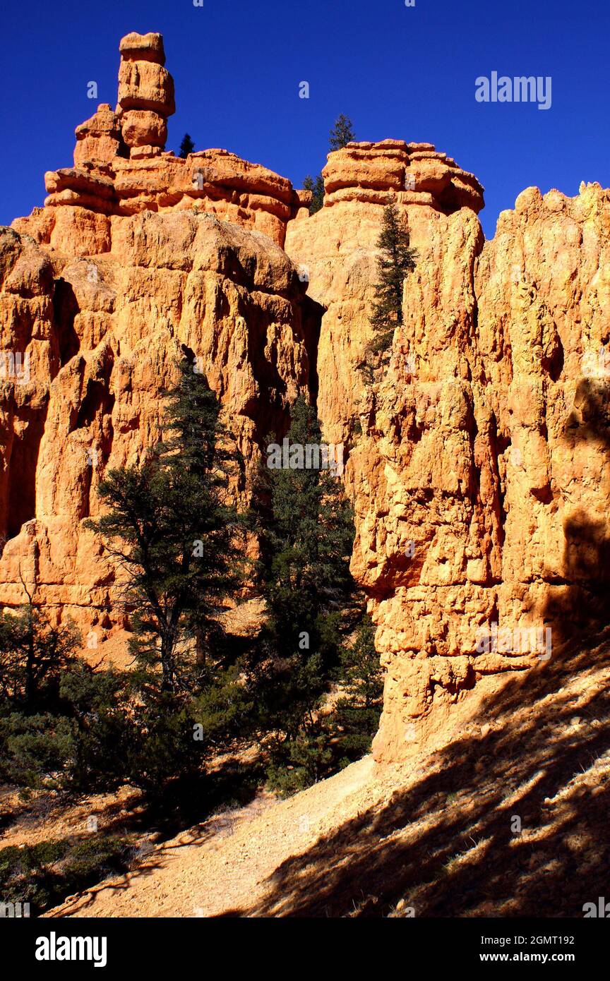 Red Canyon along Highway 12 near Bryce Canyon National Park, Dixie National Forest, Utah, USA, North America Stock Photo
