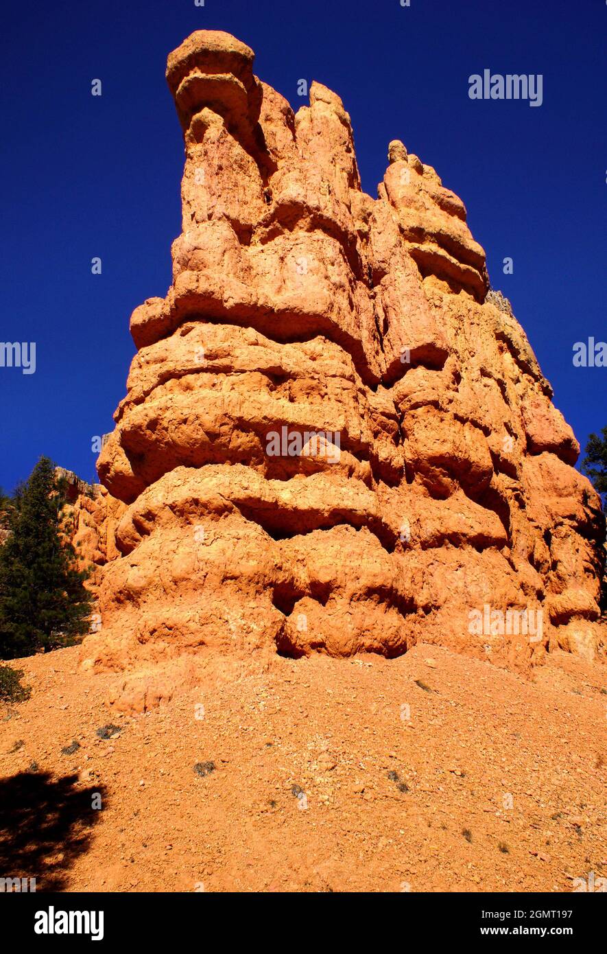 Red Canyon along Highway 12 near Bryce Canyon National Park, Dixie National Forest, Utah, USA, North America Stock Photo