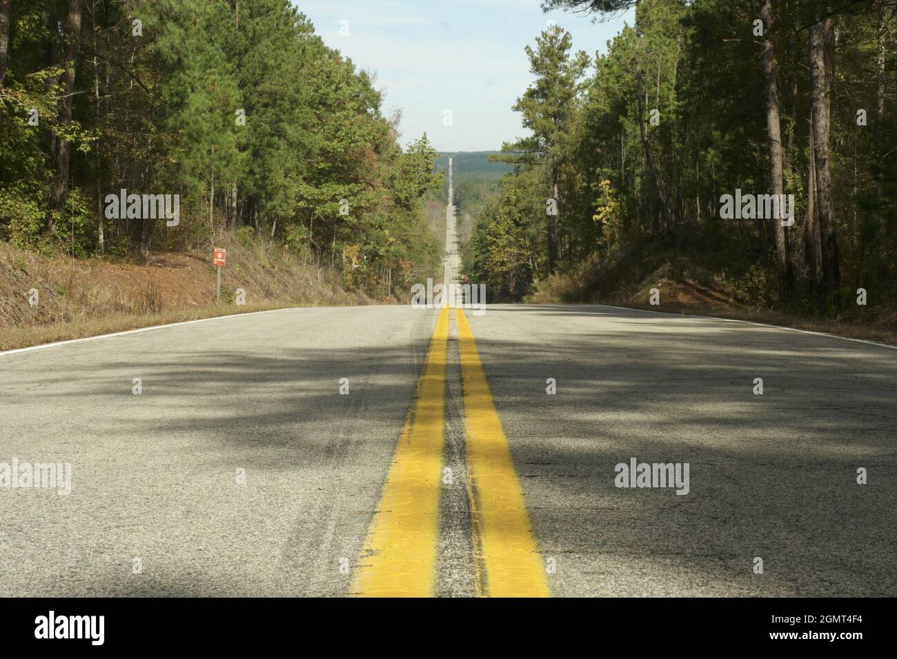 Deserted straight highway through fall trees Stock Photo