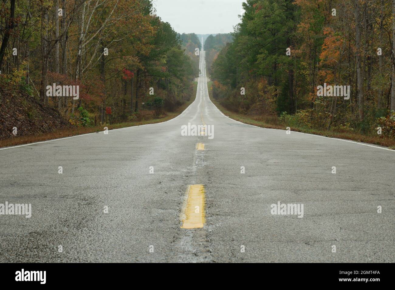 Deserted straight highway through fall trees in rain Stock Photo
