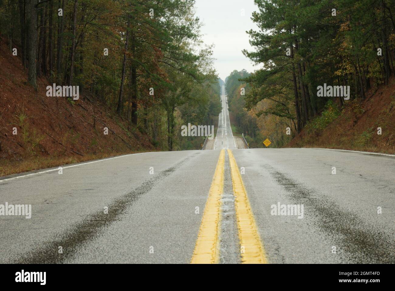 Deserted straight highway through fall trees in rain Stock Photo