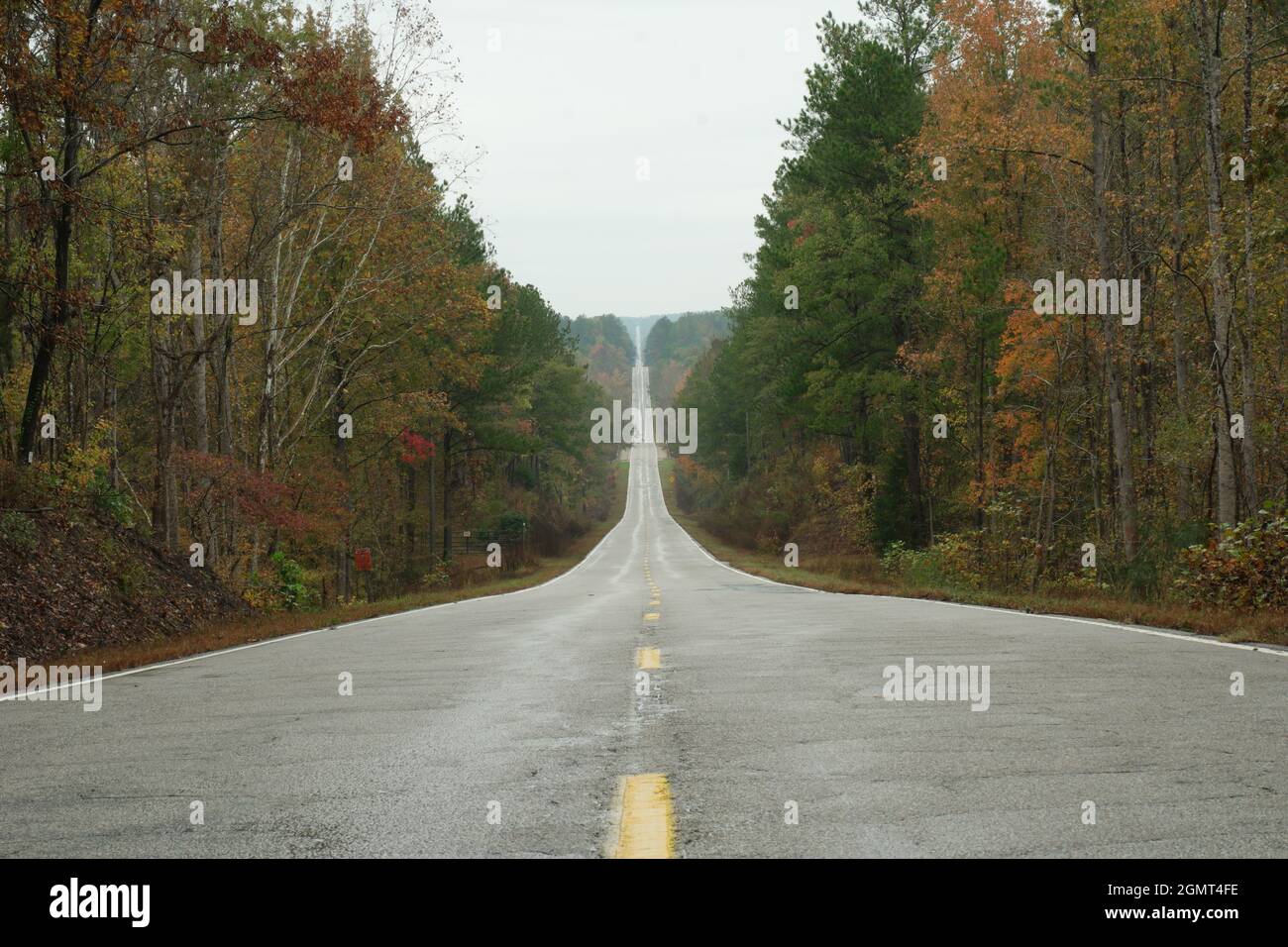 Deserted straight highway through fall trees in rain Stock Photo