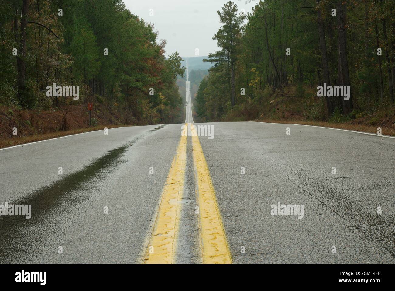 Deserted straight highway through fall trees in rain Stock Photo