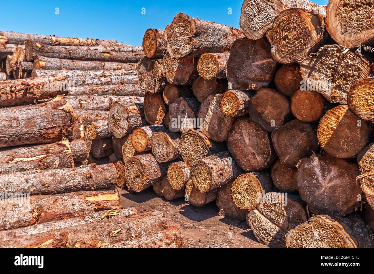 Lumber Mill at Gunflint Trail Stock Photo
