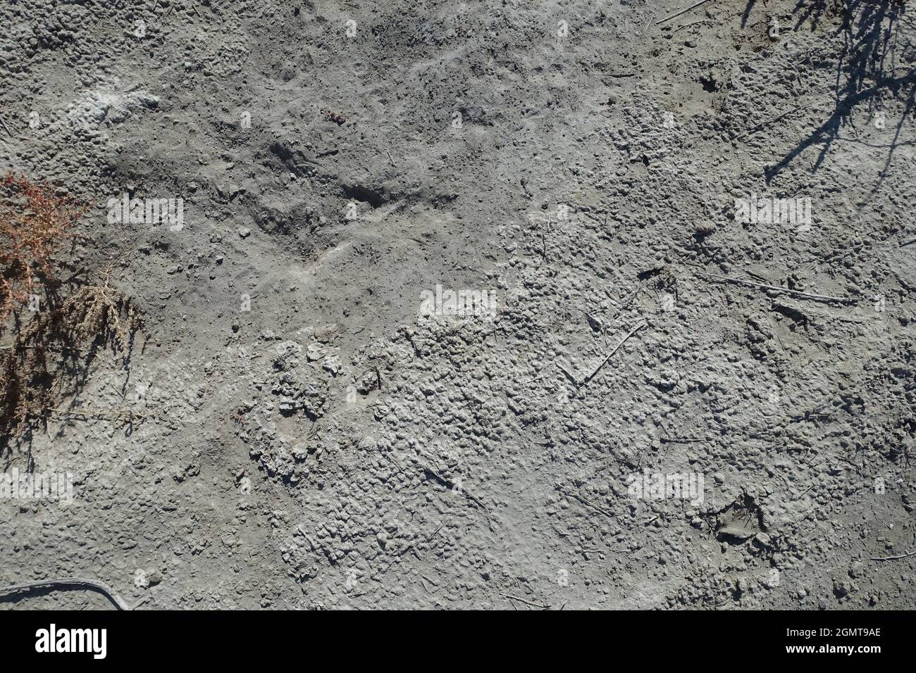 Hawthorne NV alkali lake area Stock Photo Alamy