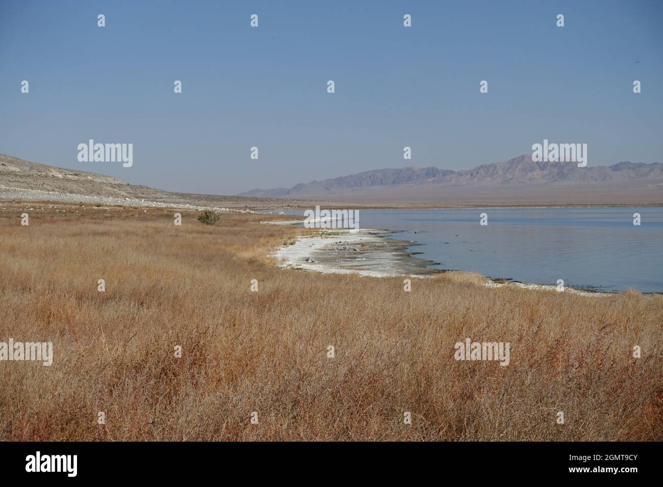 Hawthorne NV alkali lake area Stock Photo Alamy