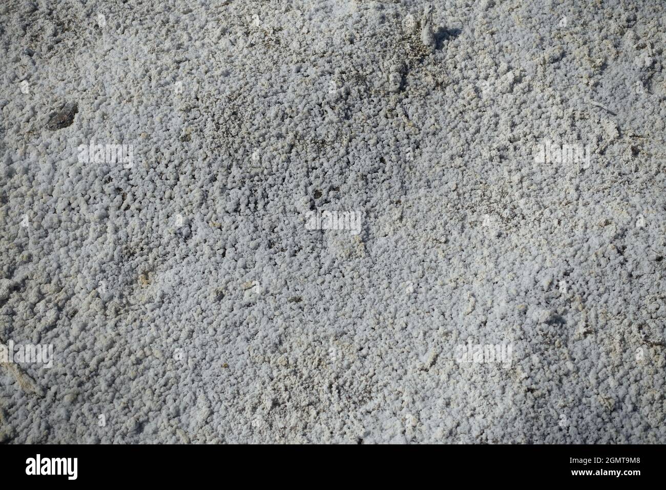 Hawthorne NV alkali lake area Stock Photo Alamy