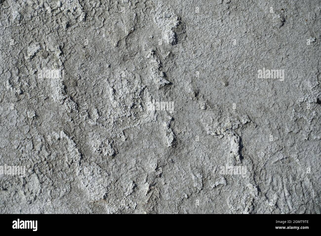 Hawthorne NV alkali lake area Stock Photo Alamy