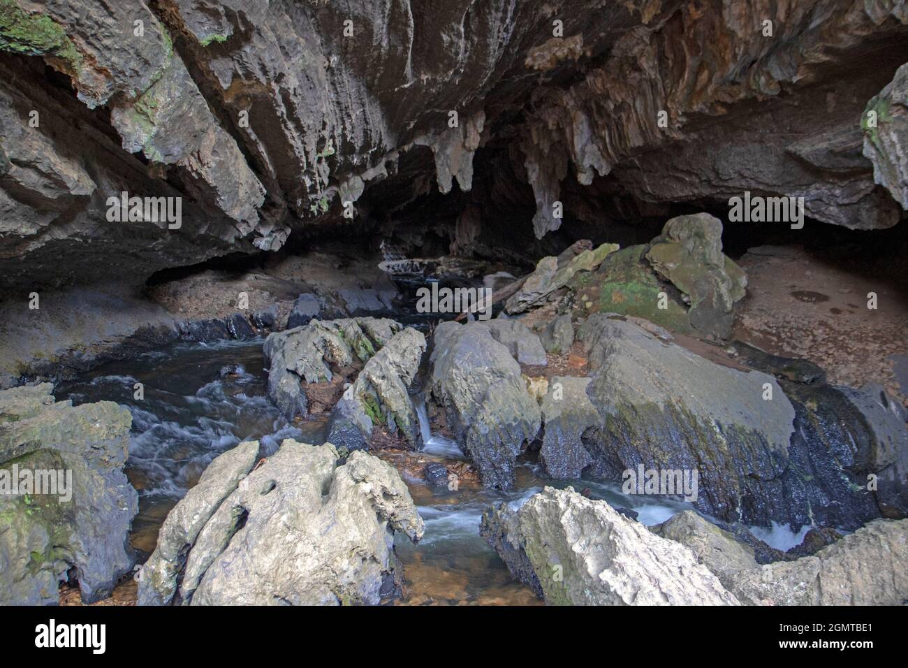 Cave, Mole Creek Karst National Park Stock Photo Alamy