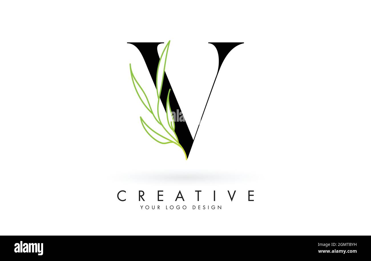 Elegant V letter logo design with long leaves branch vector