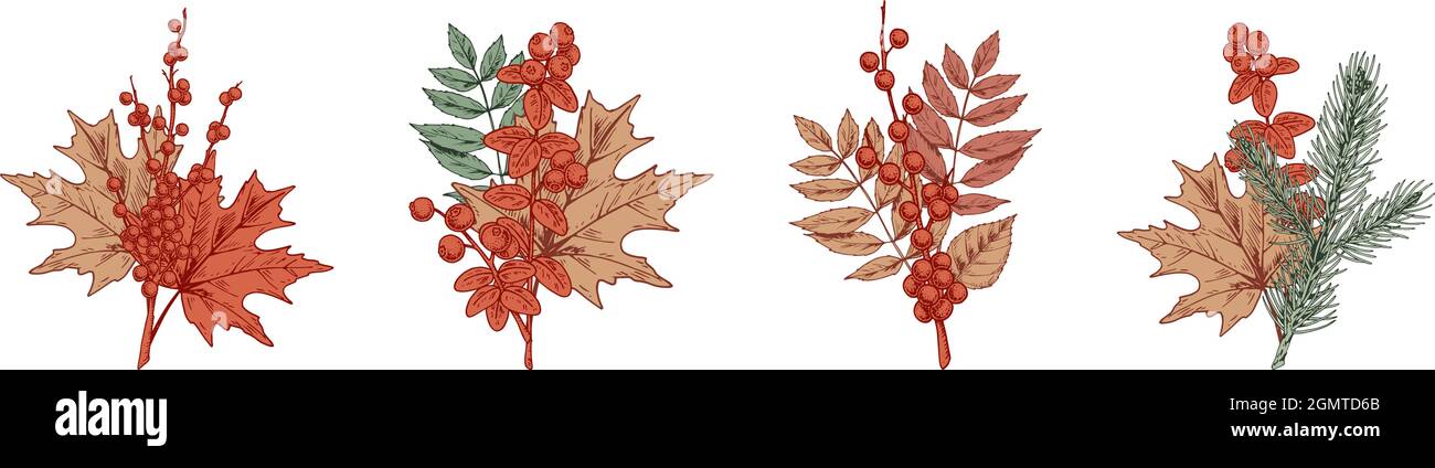 Set of autumn design elements. Hand drawn vector illustration Stock Vector