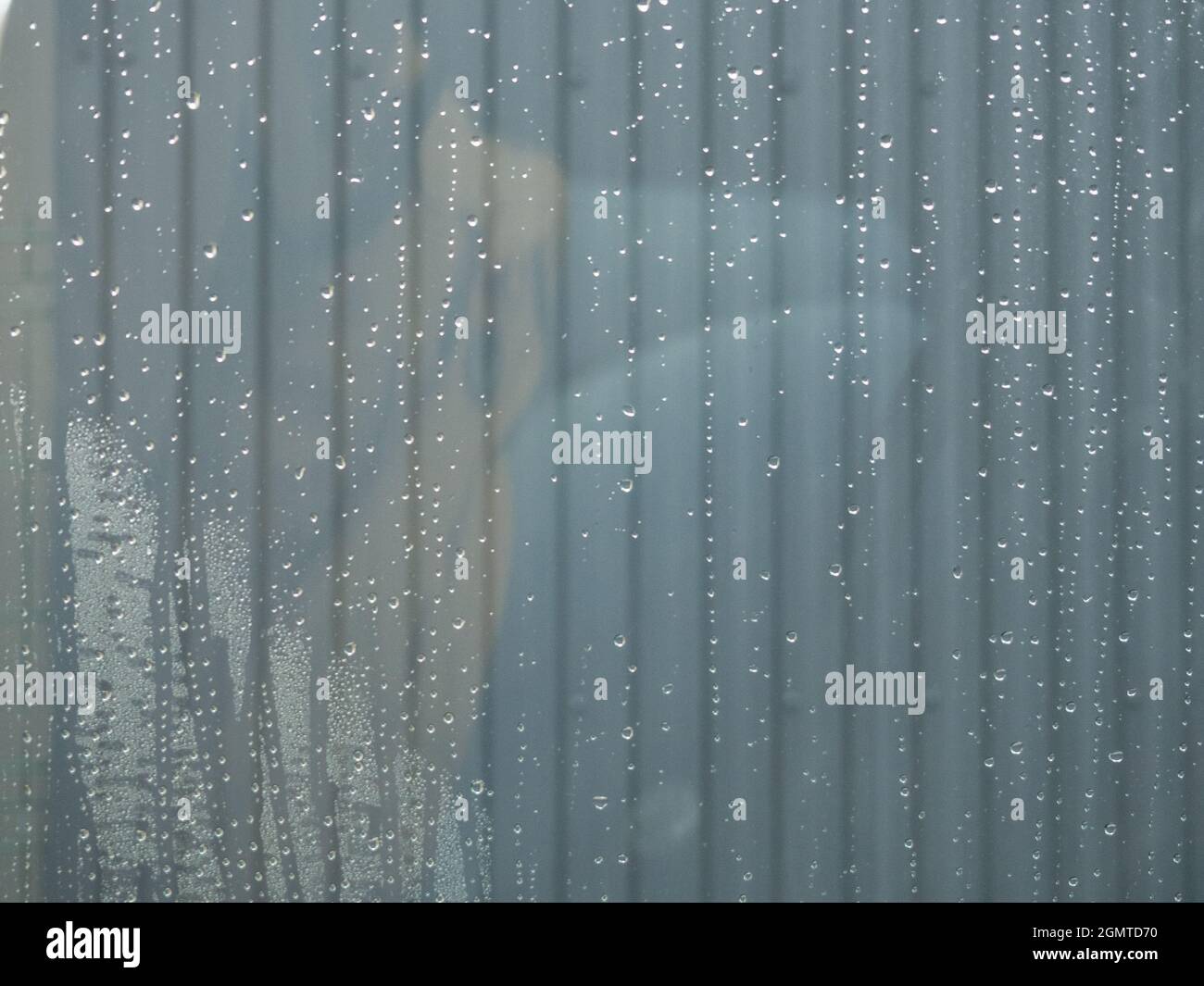 Drops of clean water on the surface of a glass with gray background ...