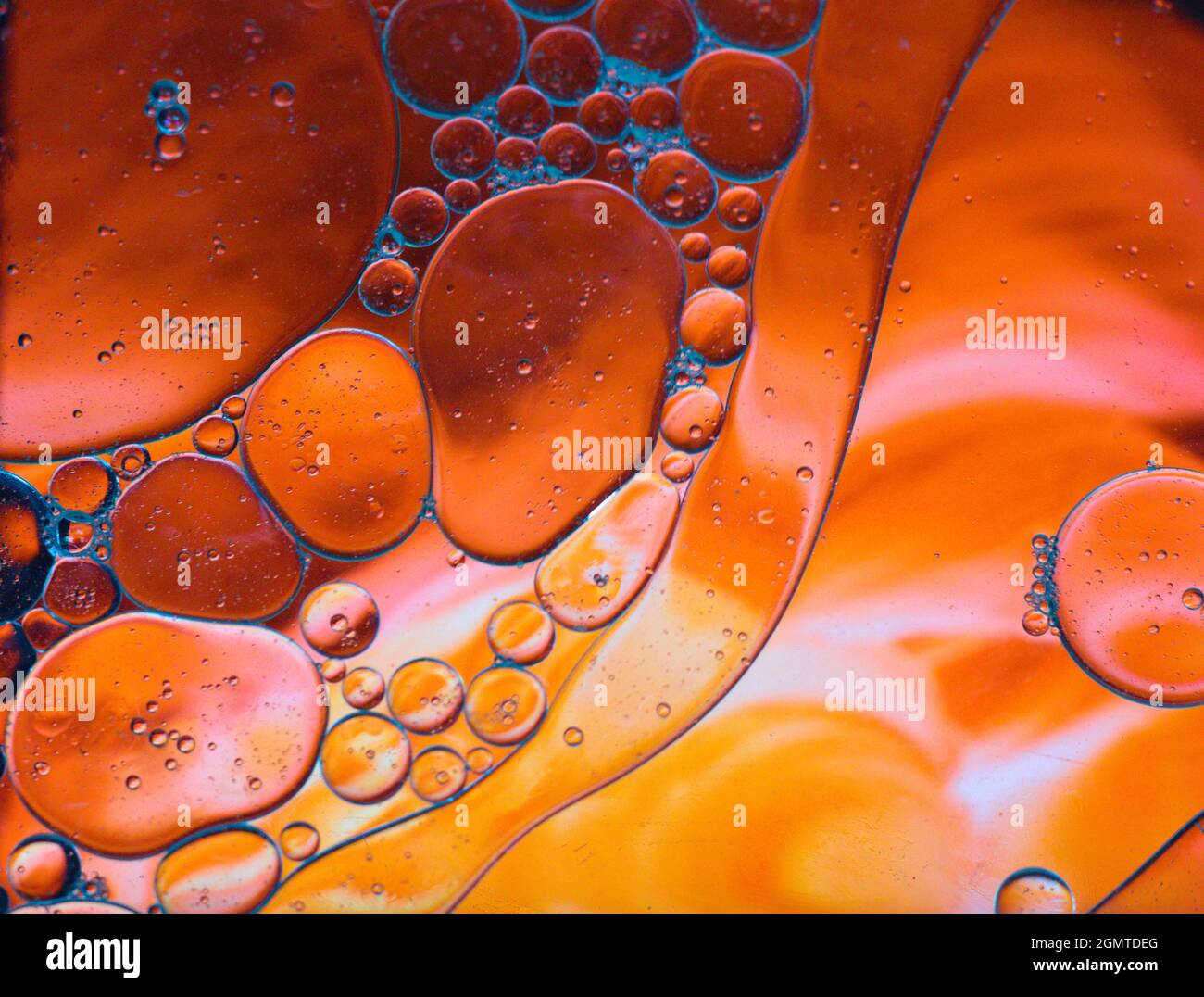 Green background whit red with blue abstract and dynamic bubble composition for web and posters Stock Photo
