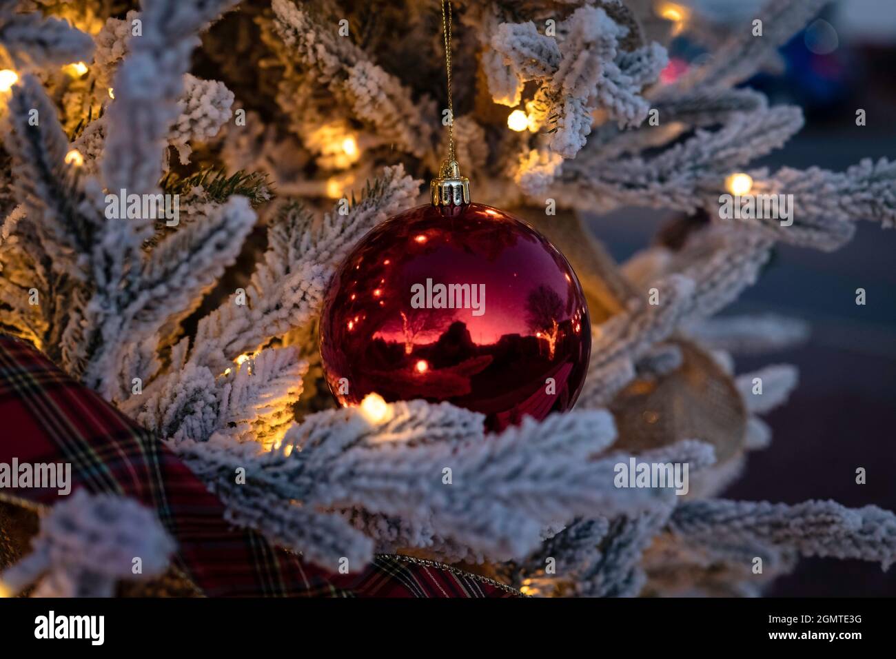 Single red ball ornament hanging on a flocked Christmas tree with white ...
